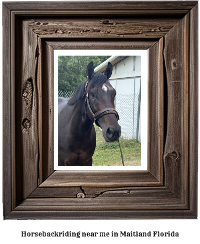 horseback riding near me in Maitland, Florida